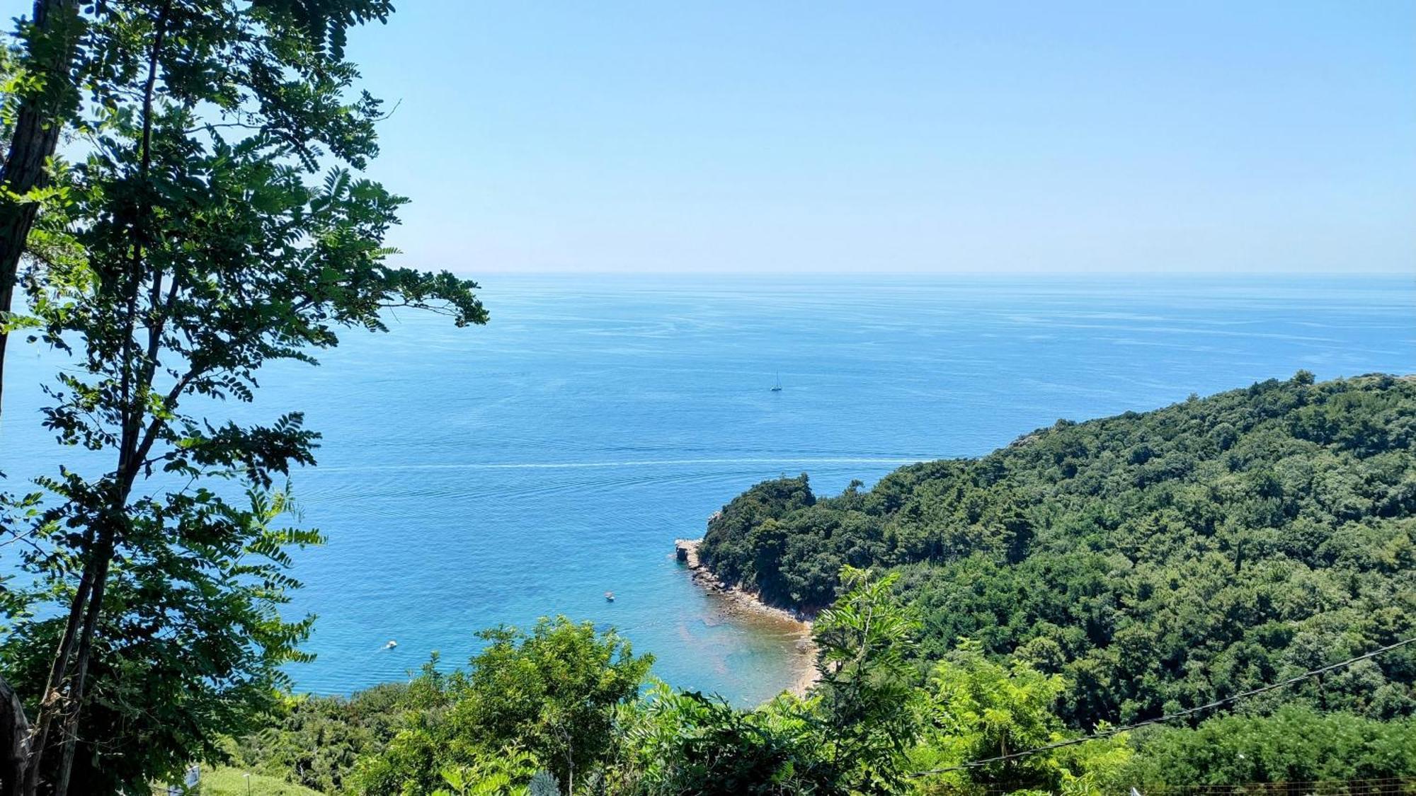 High Budva